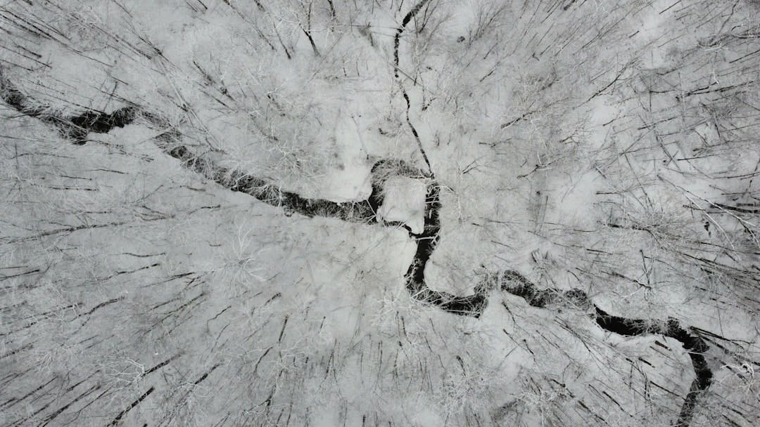 Overhead view of a river snaking through snow covered trees