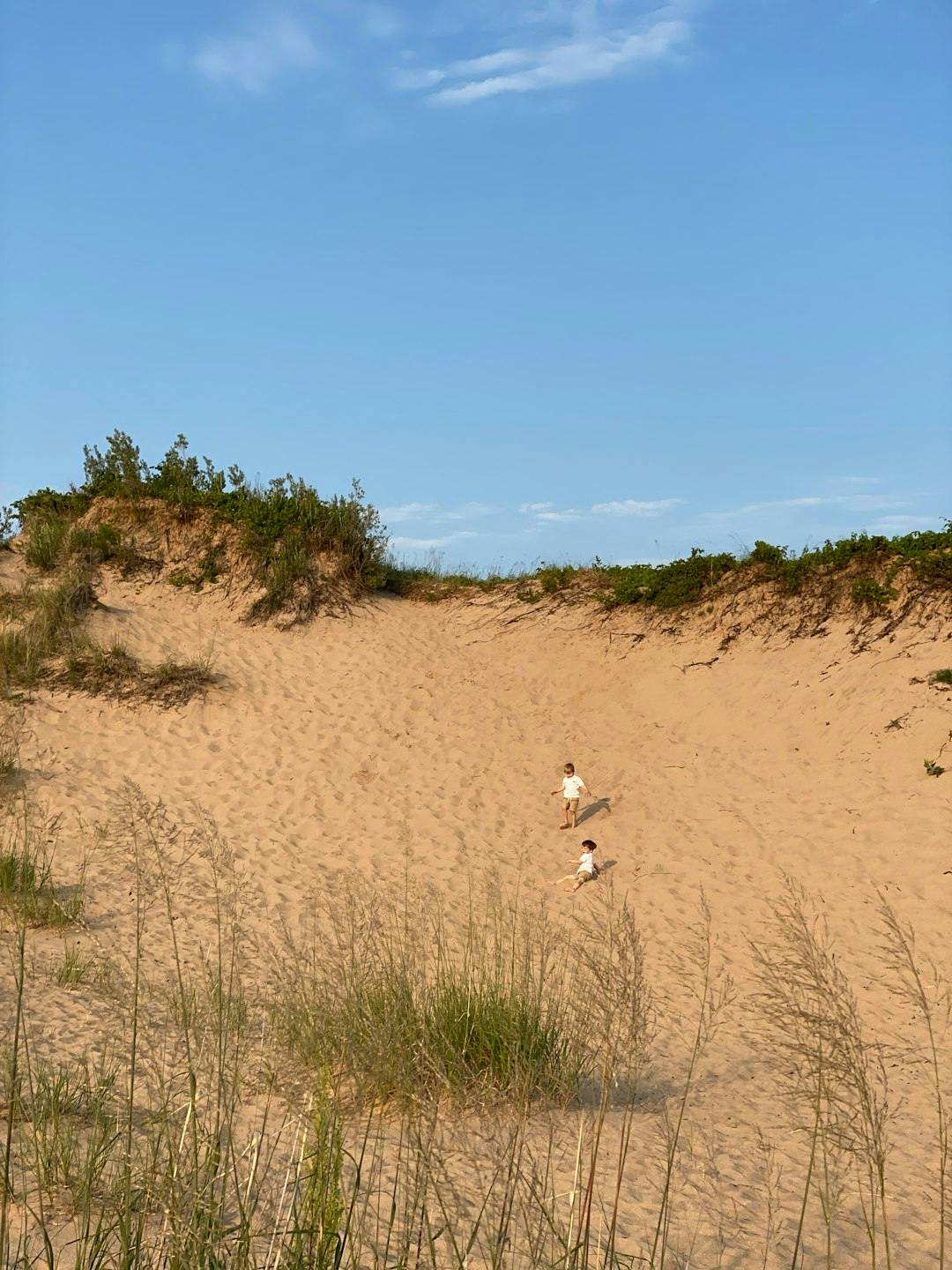 Kids playing on a sand dune